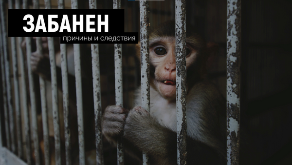 Вы заблокированы